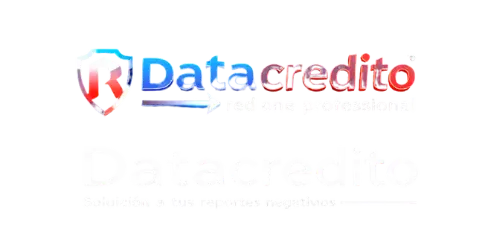 RedOneDataCredito